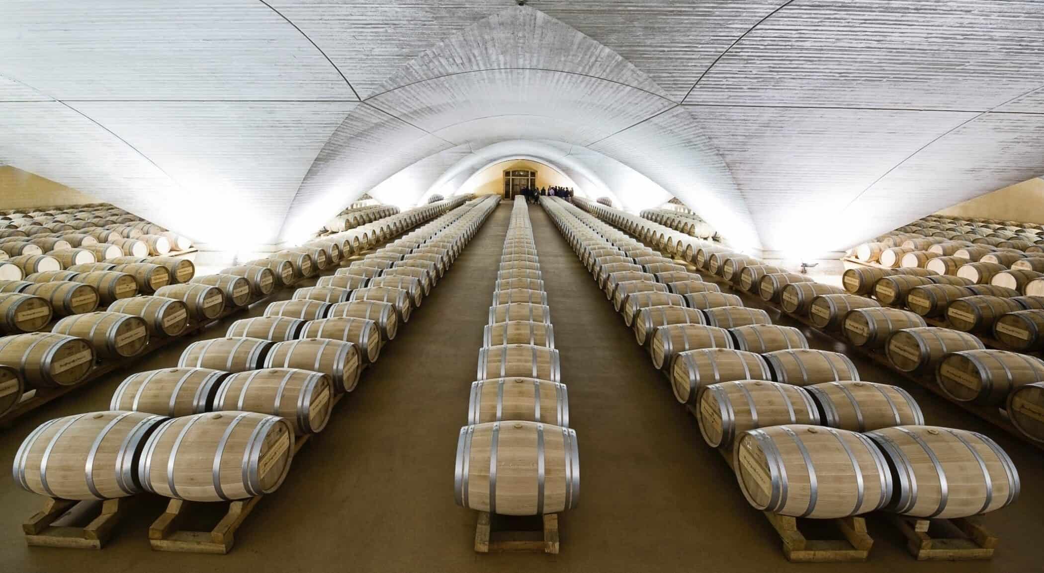 Spanske vine, Bodega Otazu, Navarra