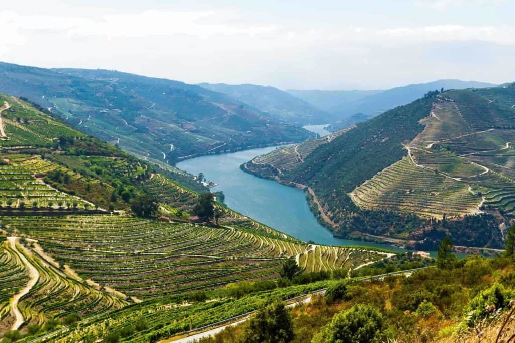 Vinrejser i Portugal ved Douro floden