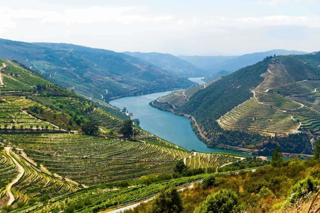 Vinrejser i Portugal ved Douro floden