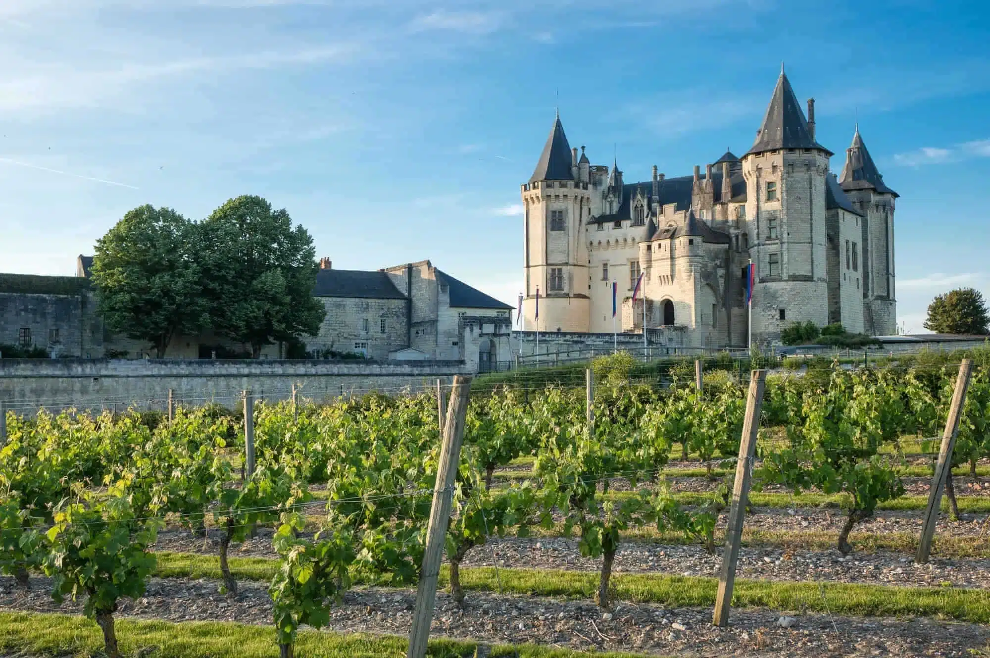 Pouilly-Fumé, den lækre hvidvin fra Loire, Frankrig 2 Saumur castle in the Loire Valley
