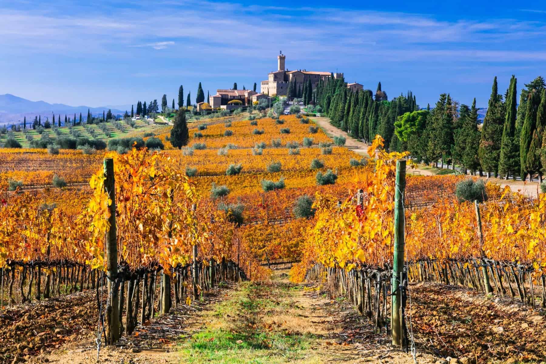 Brunello-di-Montalcino i Toscana