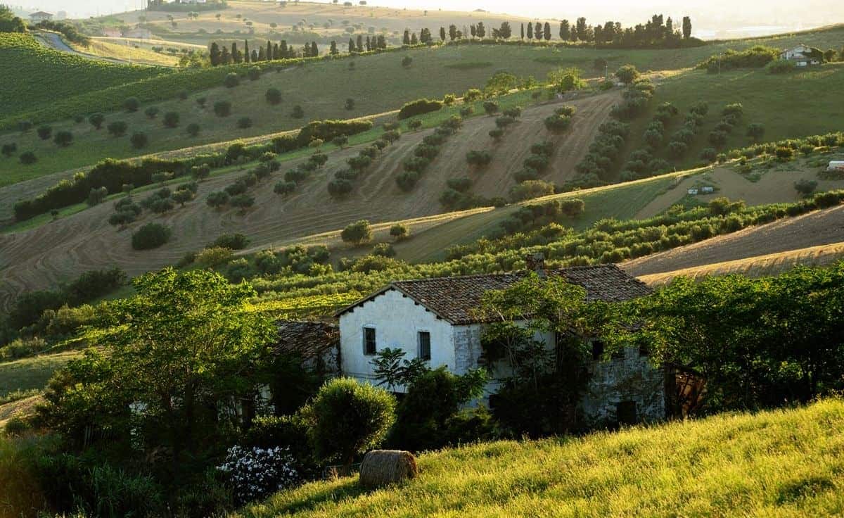Abruzzo vinmarker