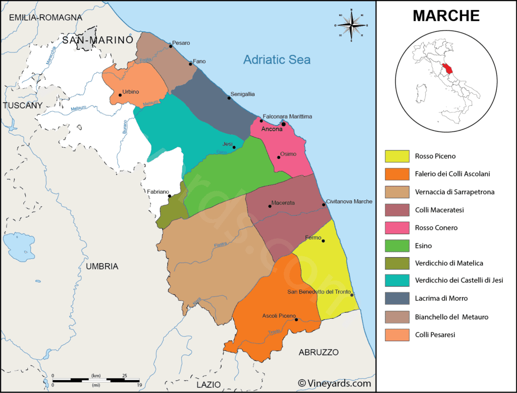 Marches, Italien, vinområderne