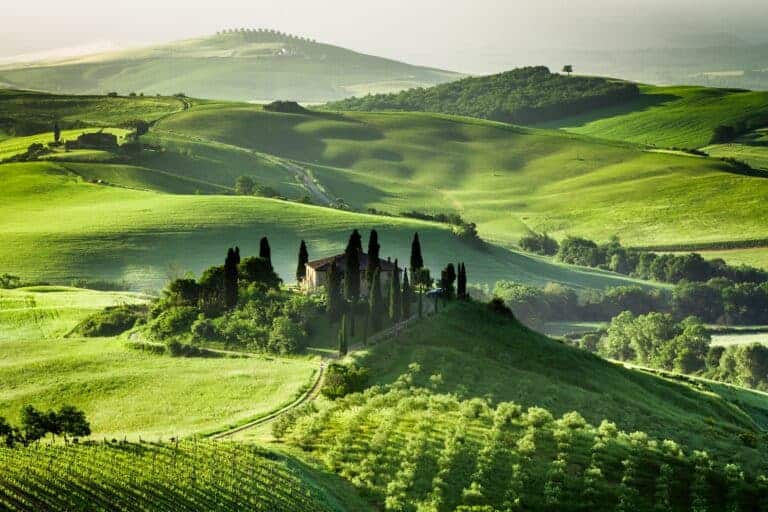 Om Winetalk. Farm of olive groves and vineyards.