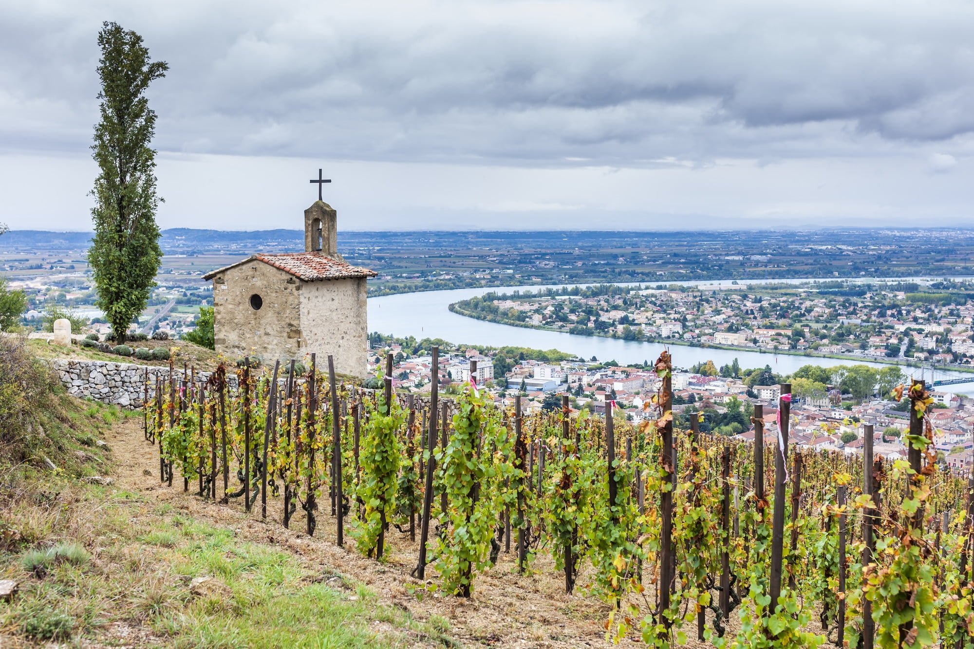 grand cru vineyard and Chapel of St. Christopher, L´Hermitage, Rhone-Alpes, France