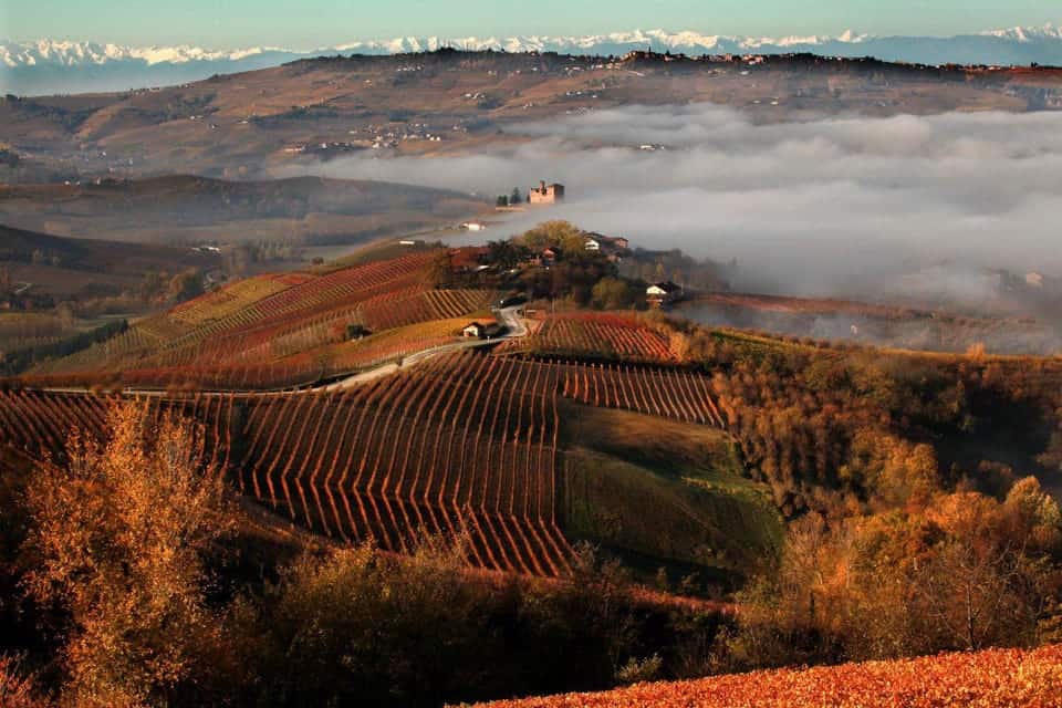 Giacomo-Conterno-Monfortino, Strada-del-Barolo-e-grandi-vini-di-Langhe