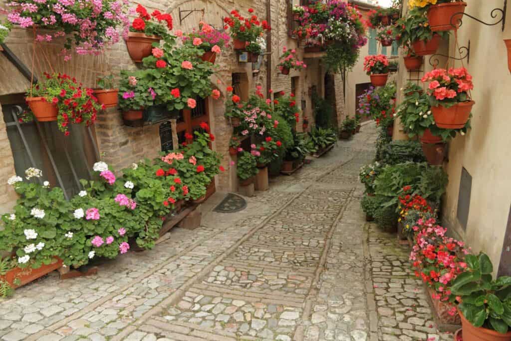 Umbria-Old-paved-street-with-flowers
