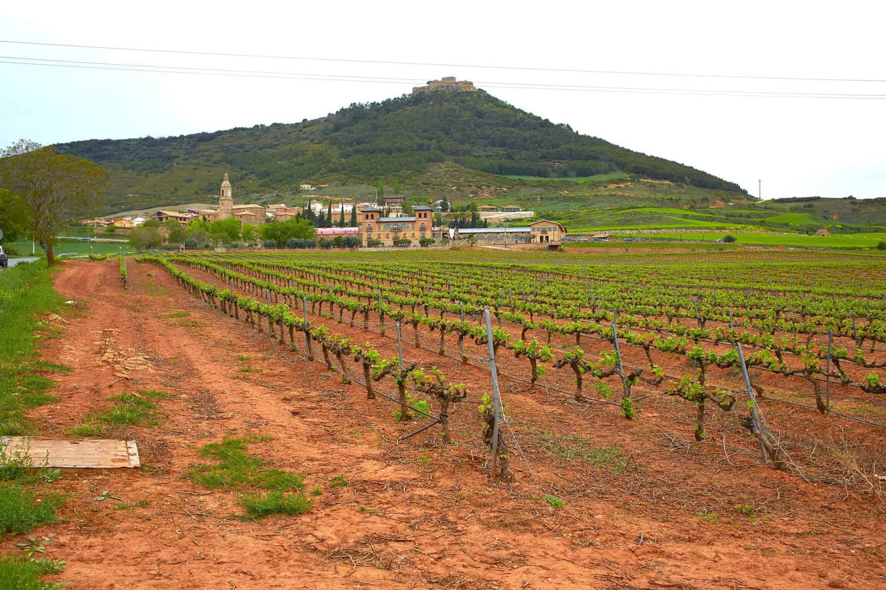 Navarra. Villamayor de Monjardin in Way of Saint James