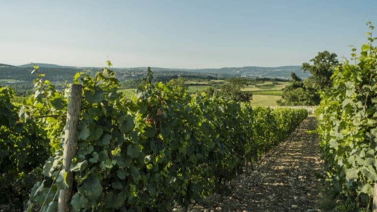 coteaux du lyonnais