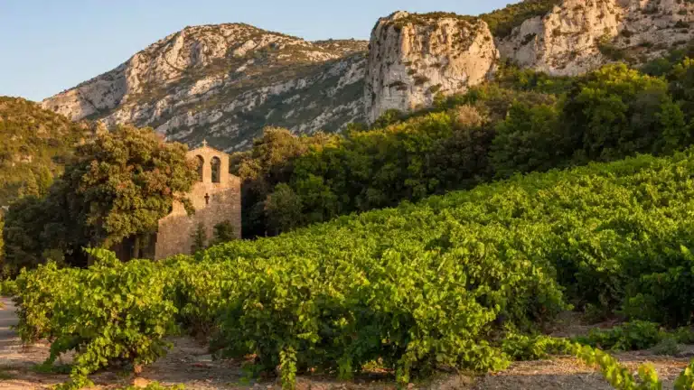languedoc roussillon