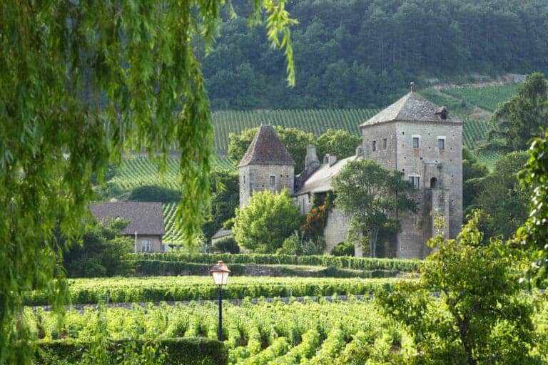 Vineyards in Gevrey Chambertin, bourgogne