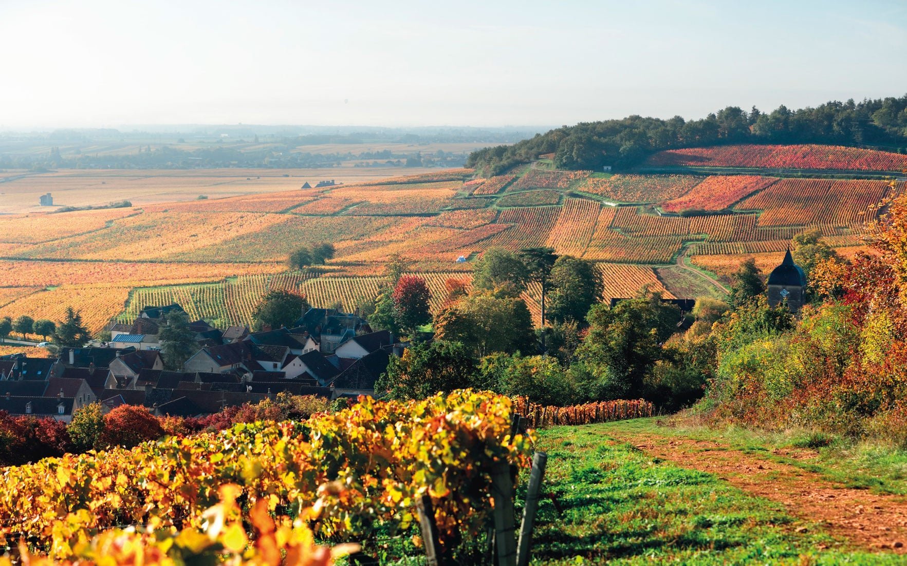 Bourgogne høsten er klar