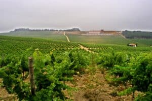 Bairrada