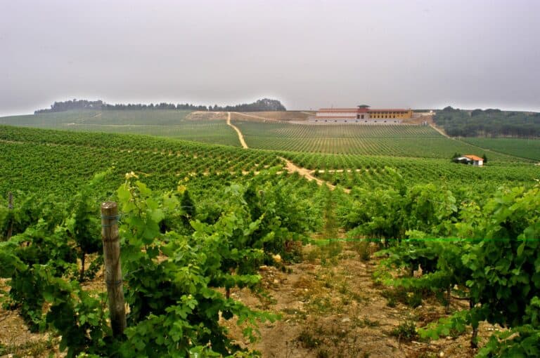 Bairrada