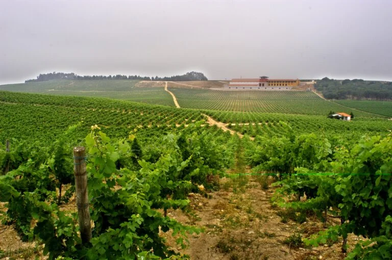 Bairrada