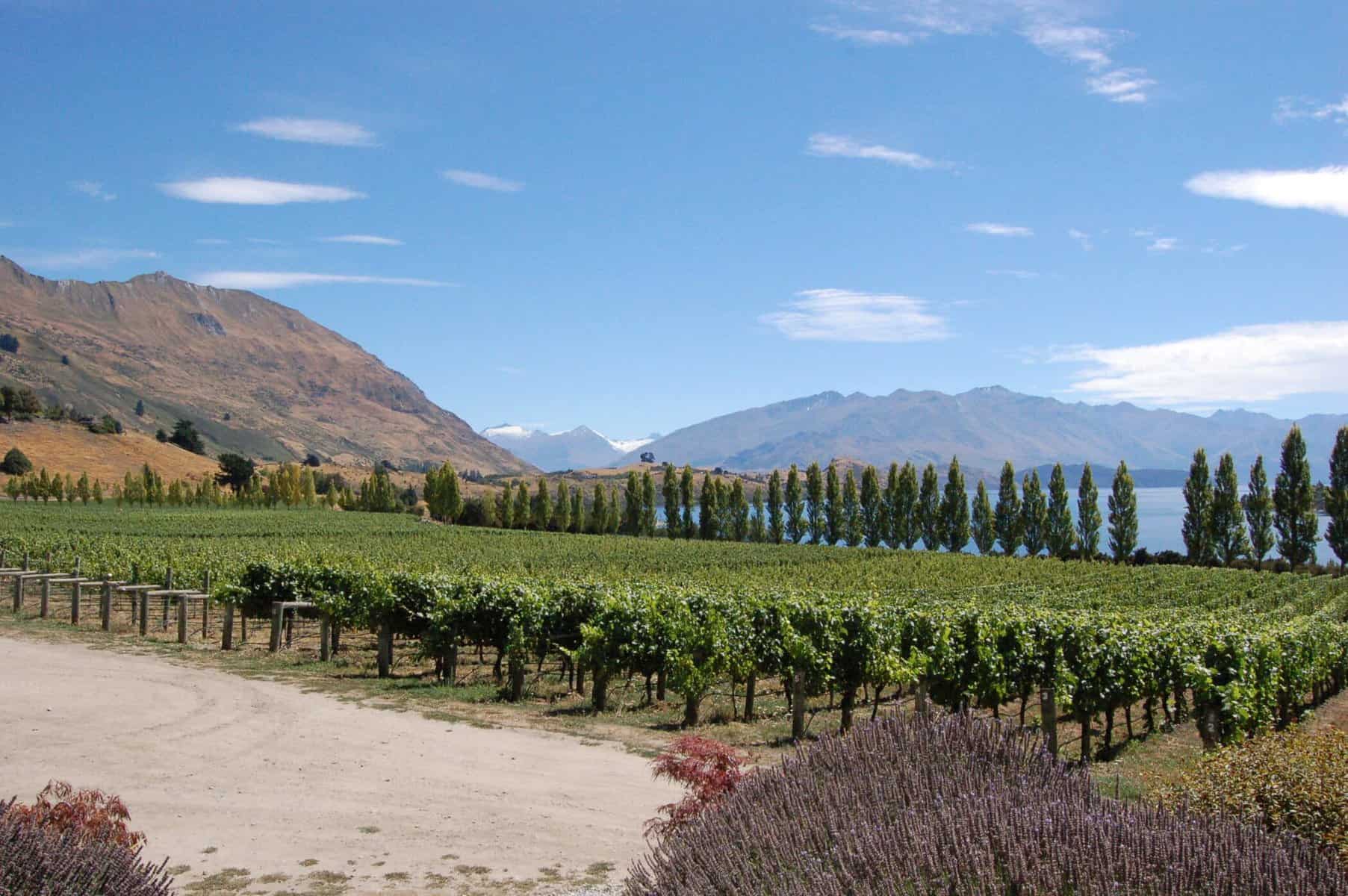 Central Otago, New Zealand