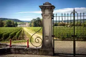 Chateau with vineyards, Burgundy, France