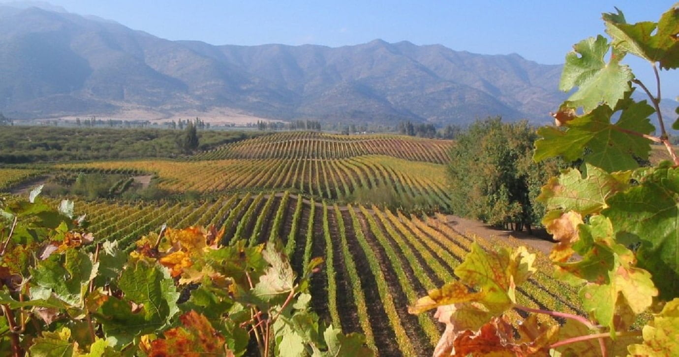 Colchagua Valley er en af Chiles mest berømte vinregioner
