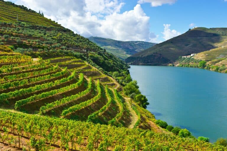 vinho verde