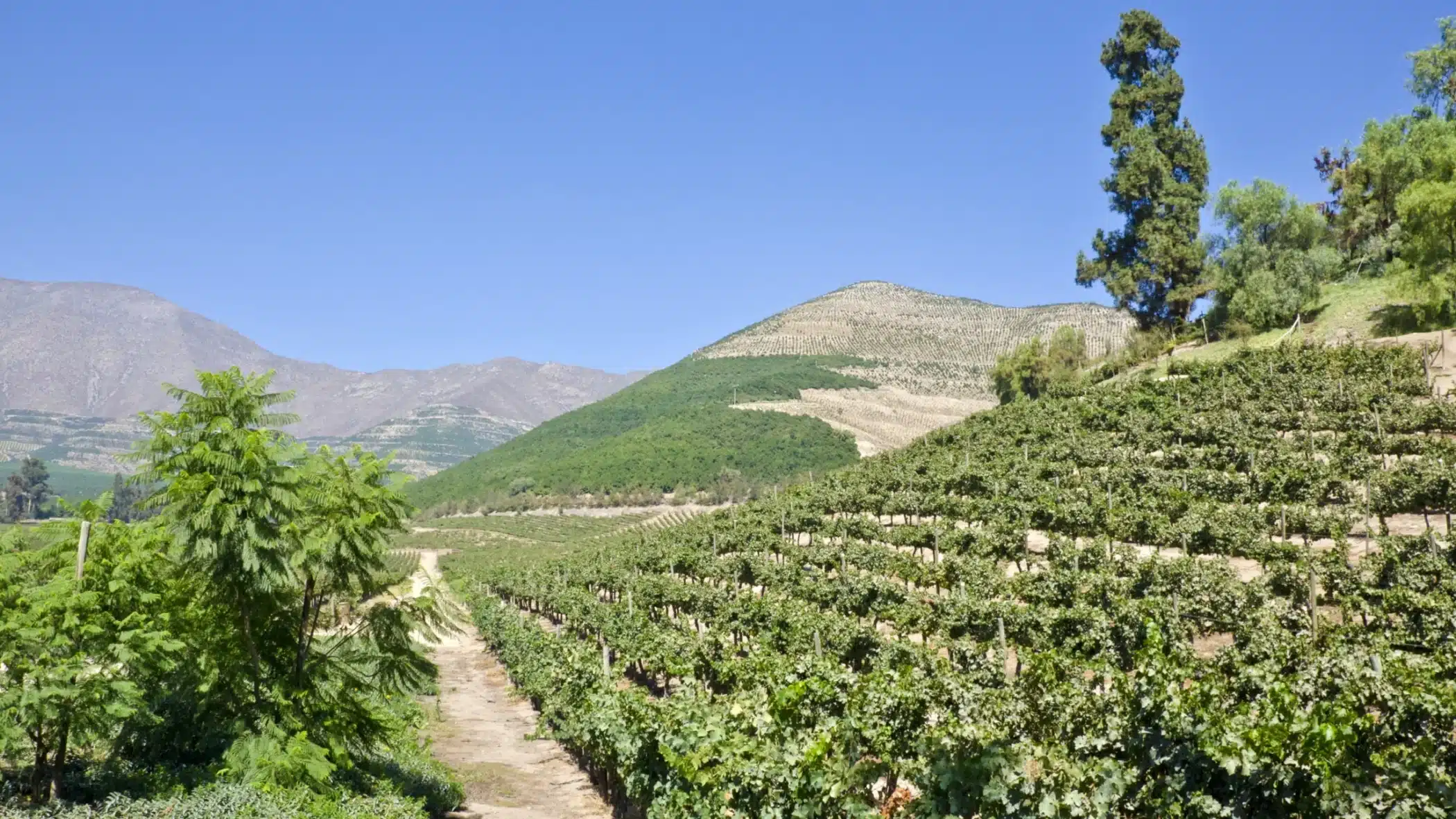 Aconcagua Valley