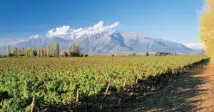 casablanca valley