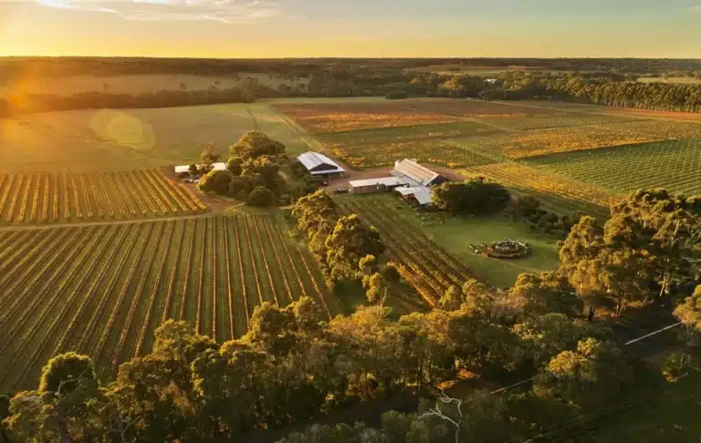 Margaret River er en berømt vinregion i det vestlige Australien