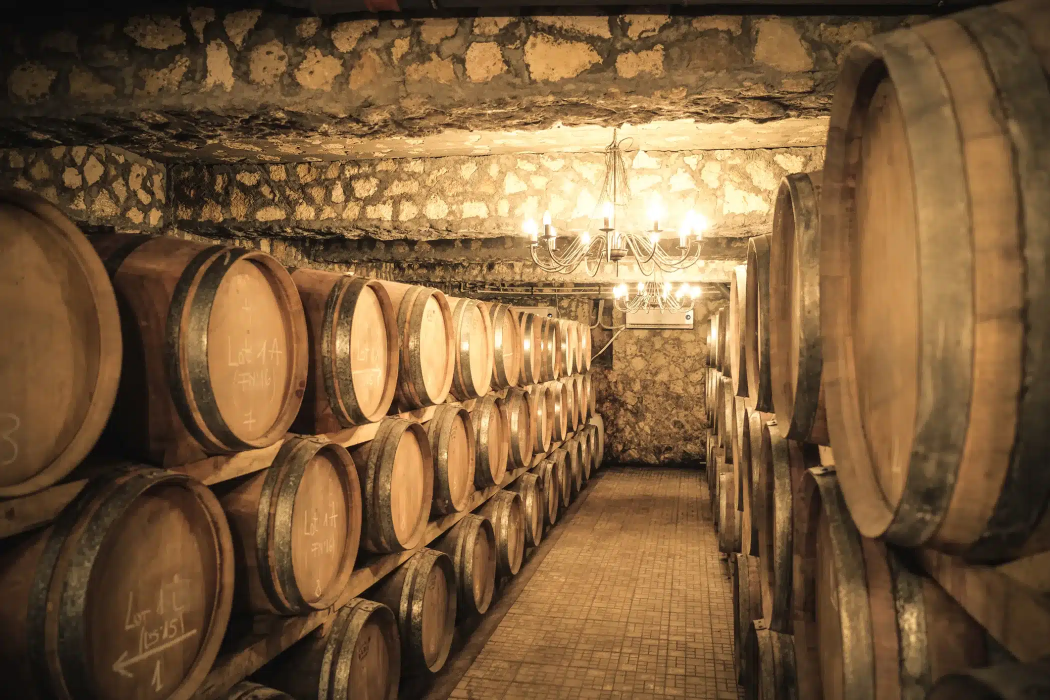 Vininvestering Vintage winery cellar with wine barrels
