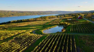 finger lakes