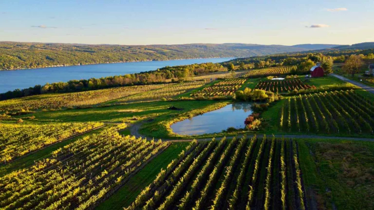 finger lakes