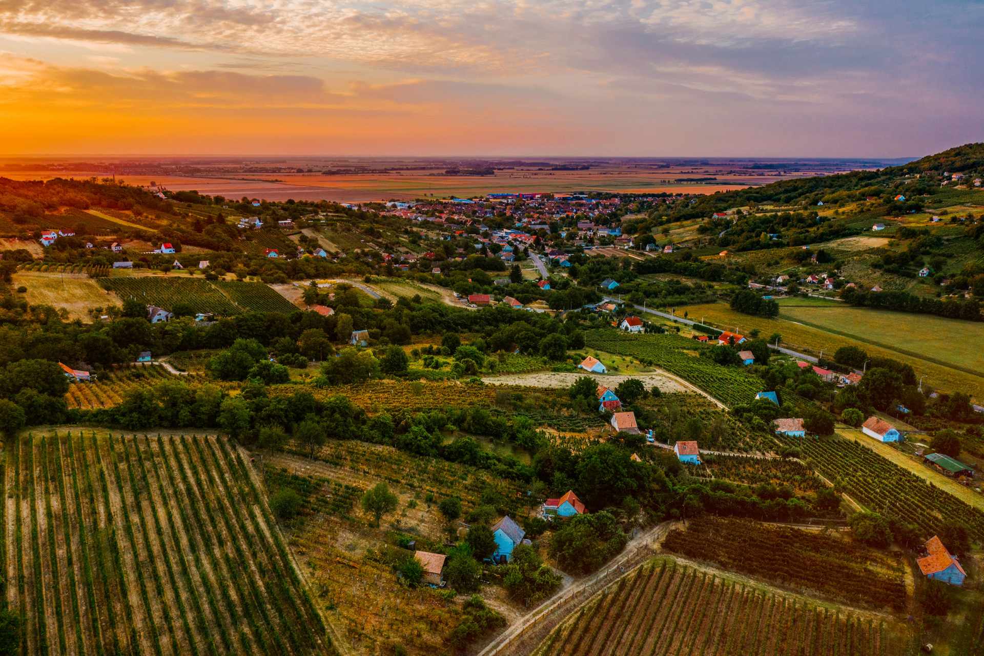 Szekszárd er en vinregion beliggende i det sydlige Ungarn og er kendt for sin produktion af rødvine