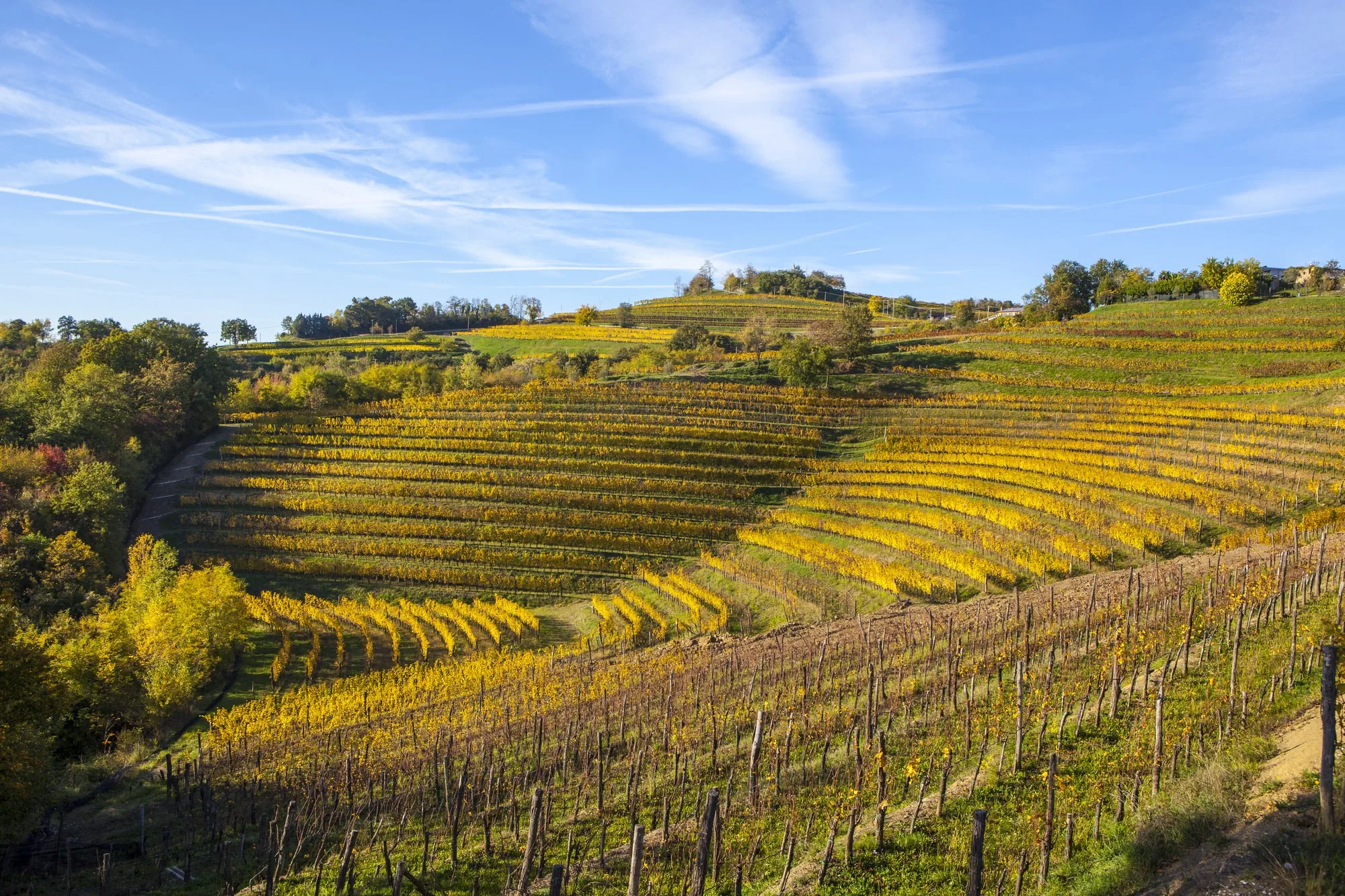 Friuli leverer Pinot Grigio, der overrasker gang på gang med sin sarte og lækre mineralitet