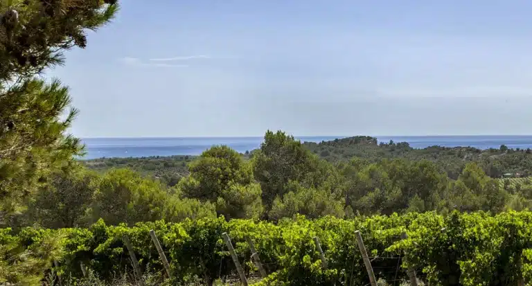 Pays d’Oc