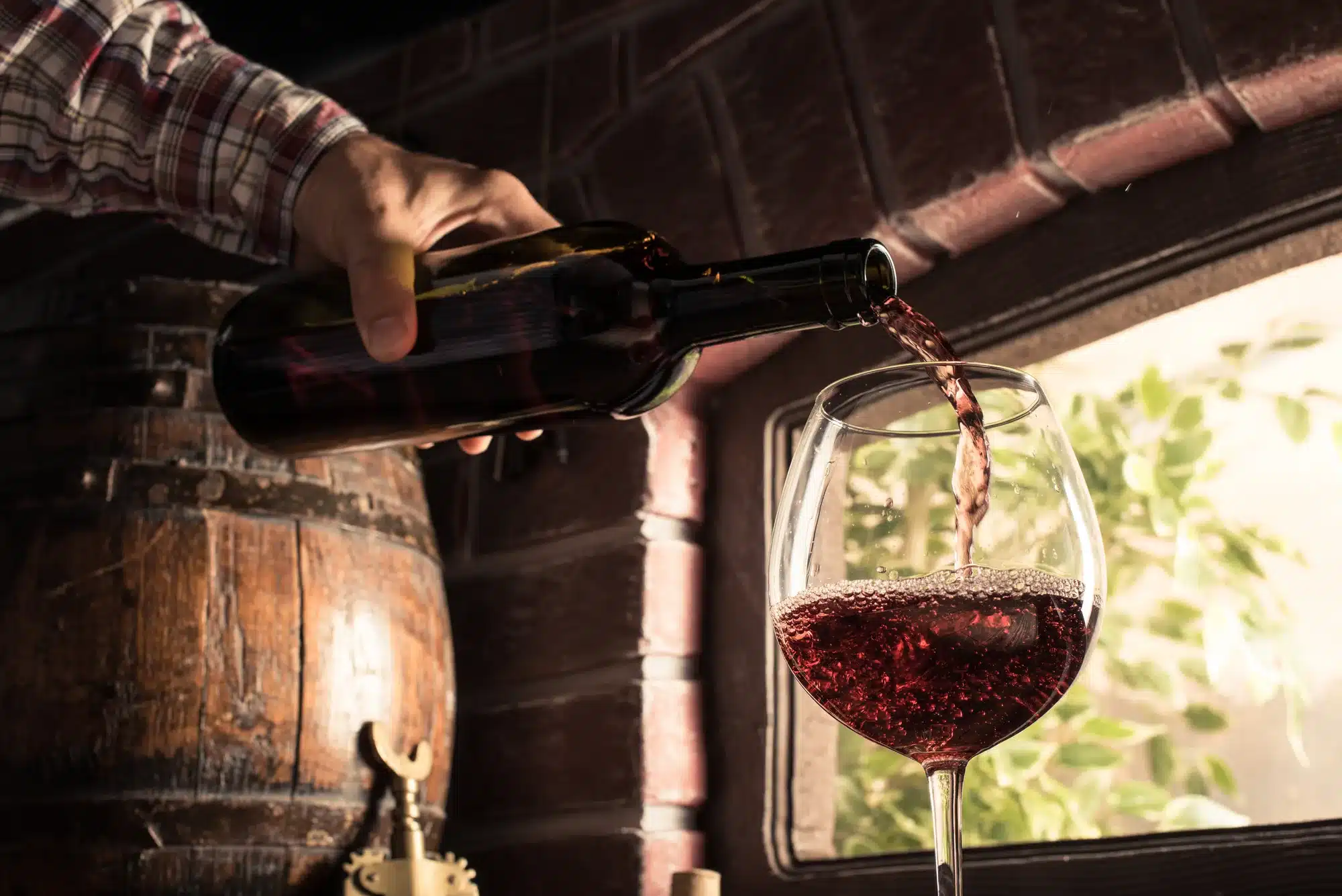 Vinsmagning. Sommelier pouring wine into a glass