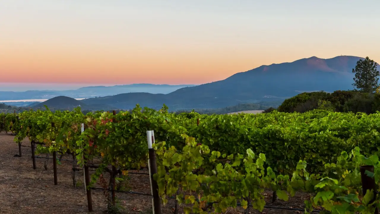 Mendocino er en vinregion beliggende i det nordlige Californien, USA. Regionen er kendt for sin naturskønne skønhed og mangfoldighed inden for vinproduktion