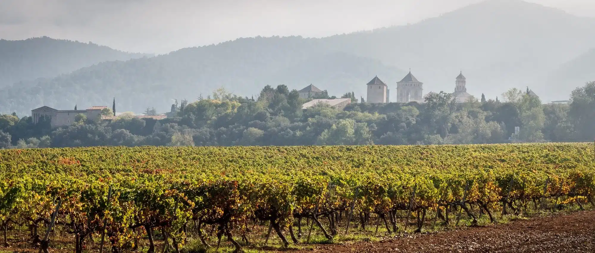 Montsant er en vinregion beliggende i Catalonien, Spanien