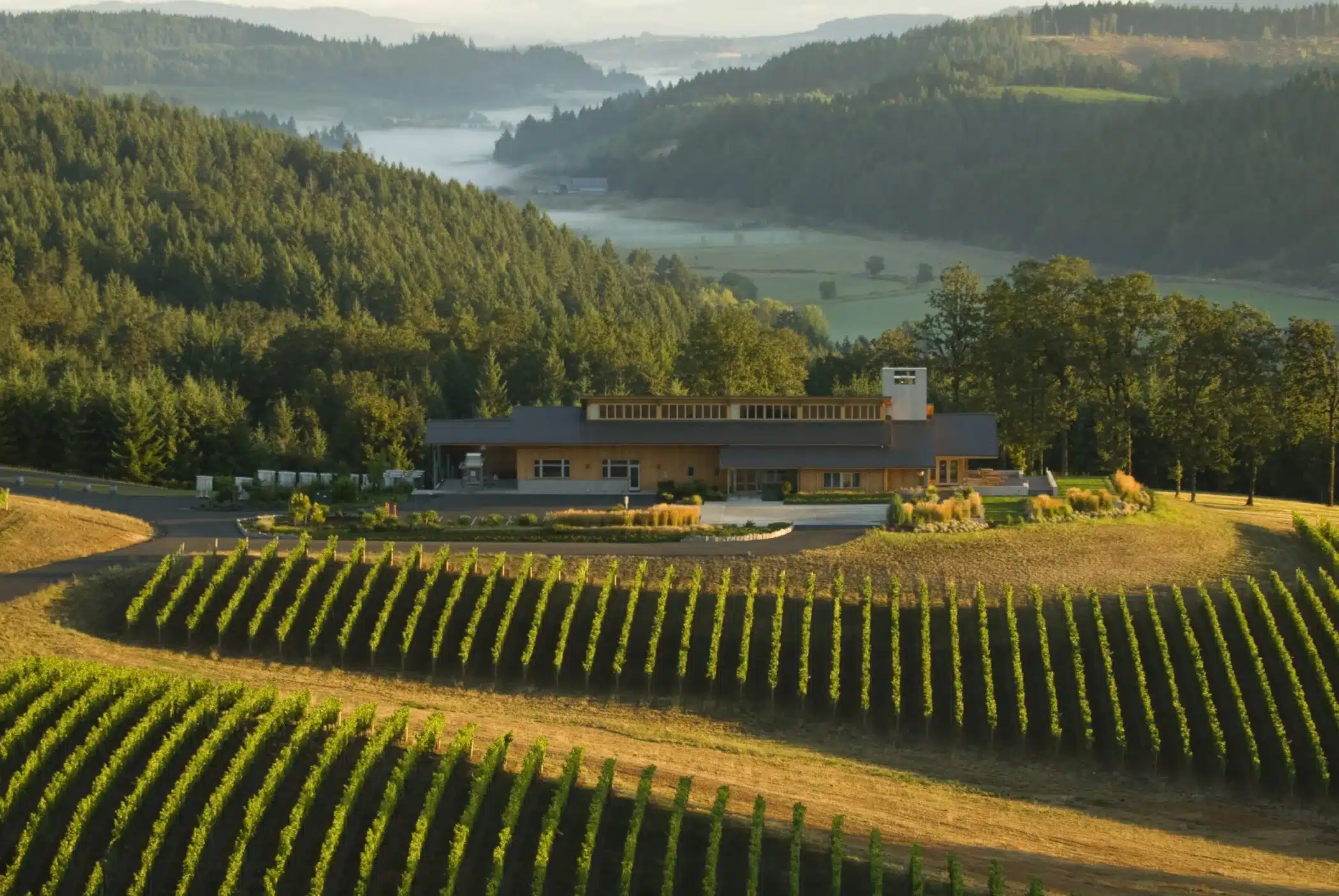 Oregon er en anerkendt vinregion beliggende i det nordvestlige USA
