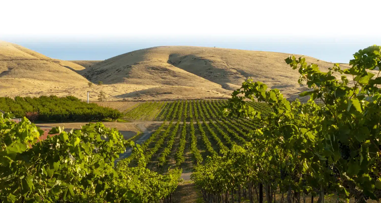 Yakima Valley er en anerkendt vinregion beliggende i staten Washington i USA
