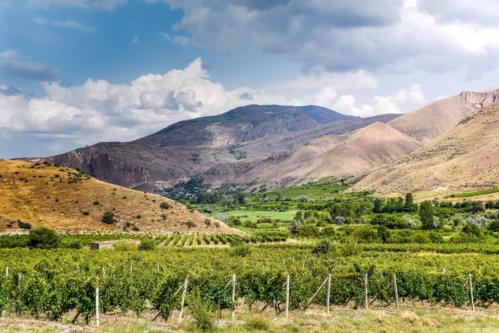 Armenien er en gammel vinproducerende region med en historie, der går flere tusinde år tilbage