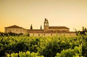 Vinos de Pago er en oprindelsesbetegnelse, der er unik for Spanien og bruges til at angive vine, der kommer fra en bestemt vingård.