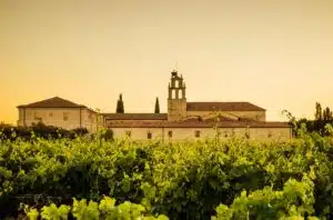 Vinos de Pago er en oprindelsesbetegnelse, der er unik for Spanien og bruges til at angive vine, der kommer fra en bestemt vingård.