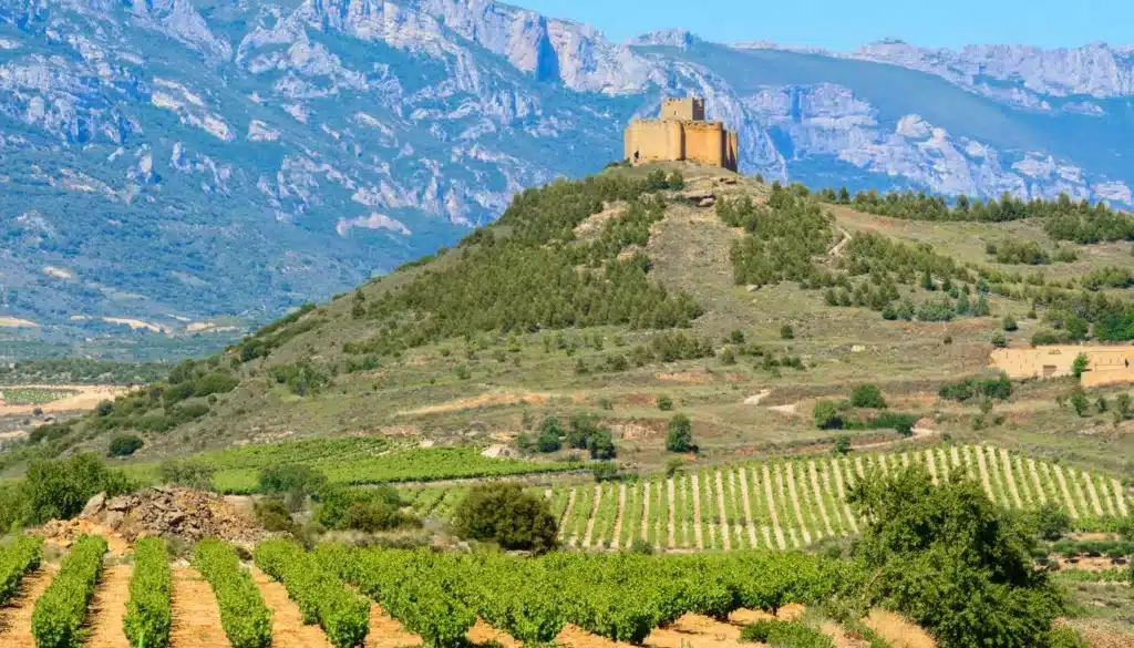 Muga er en prestigefyldt spansk vinproducent beliggende i området Rioja i det nordlige Spanien.