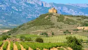 Fredagsbaren-Muga er en prestigefyldt spansk vinproducent beliggende i området Rioja i det nordlige Spanien.