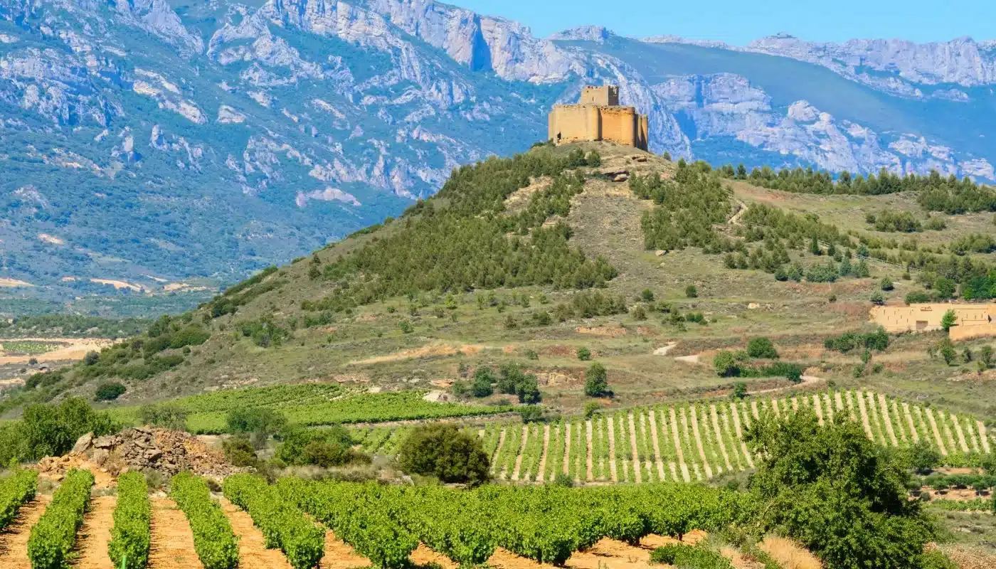 Muga er en prestigefyldt spansk vinproducent beliggende i området Rioja i det nordlige Spanien.