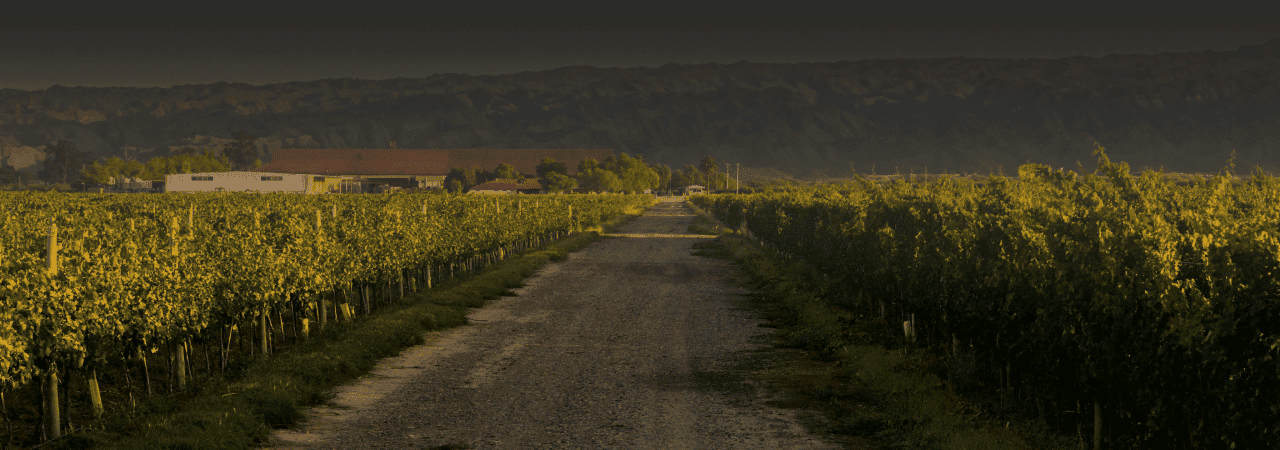 San Juan Argentina - Bodegas Callia