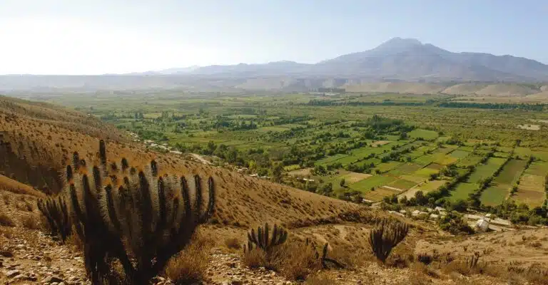 Limari Valley