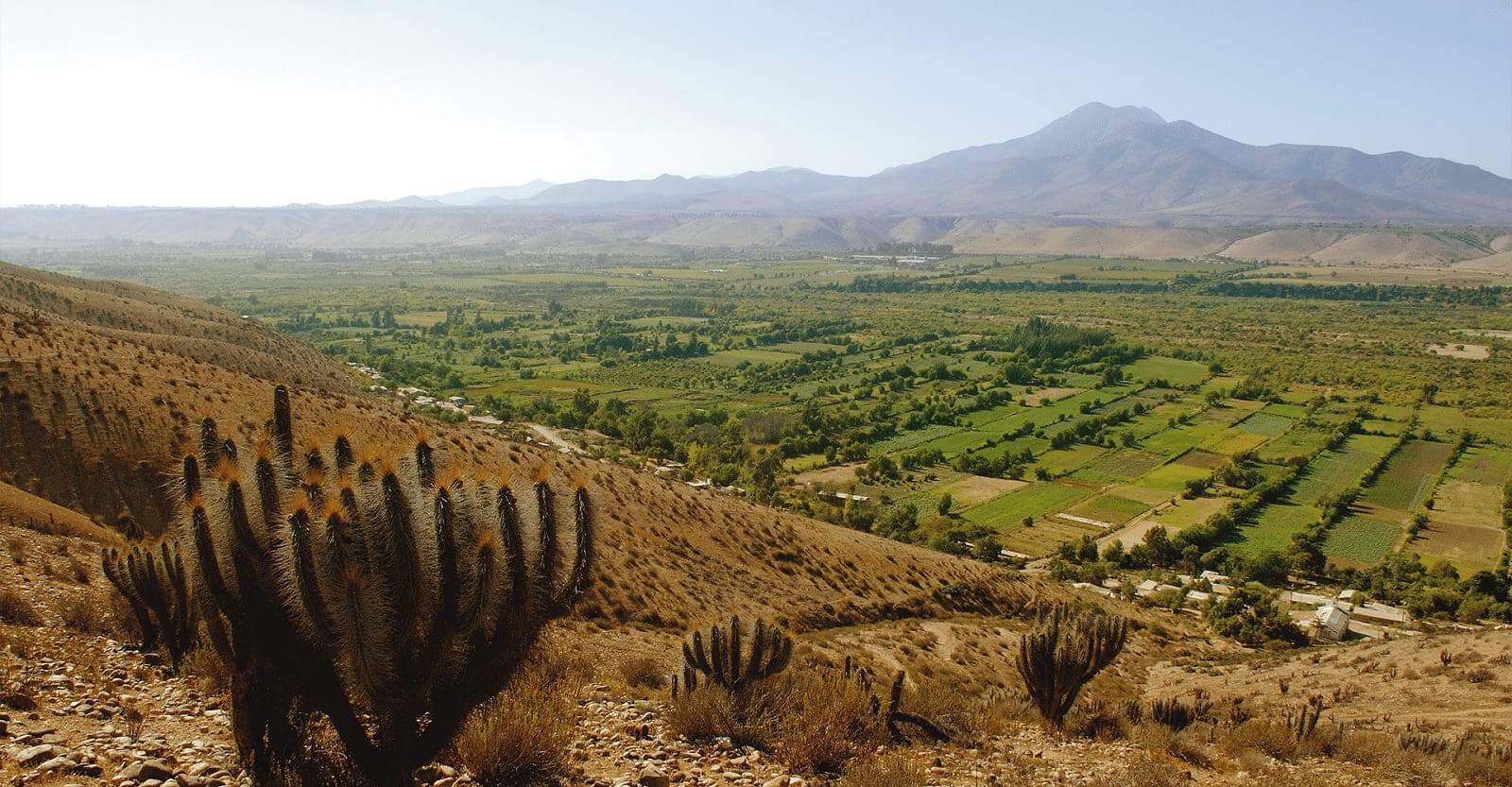 Limari Valley