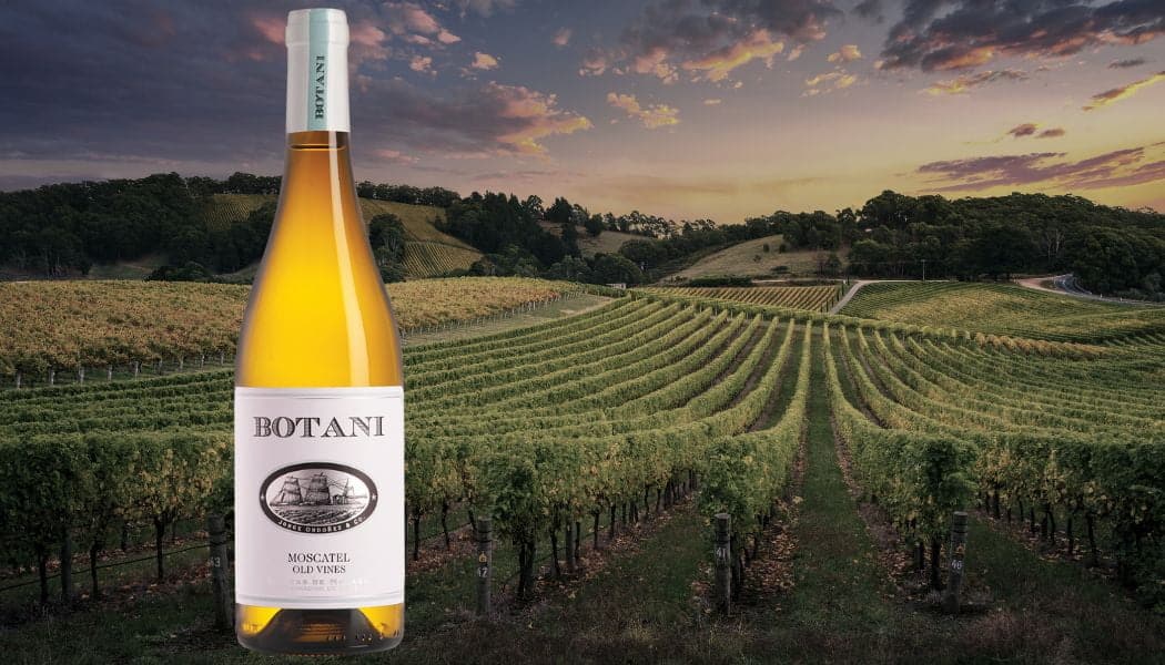 Spanske hvidvine Moscatel Jorge Ordóñez