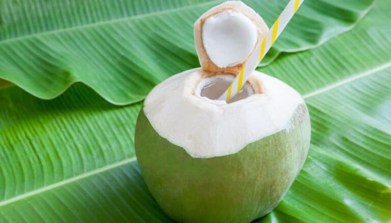 Kokosnødden
