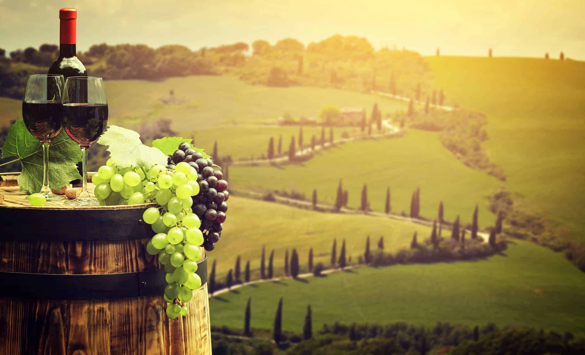 Vino Nobile di Montepulciano — Toscanas adelige rødvin 4 Flaske rødvin, glas og druer på et fad i en toscansk vingård — Vino Nobile di Montepulciano