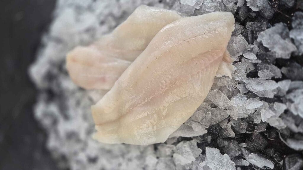 FriskFangetFisk.dk